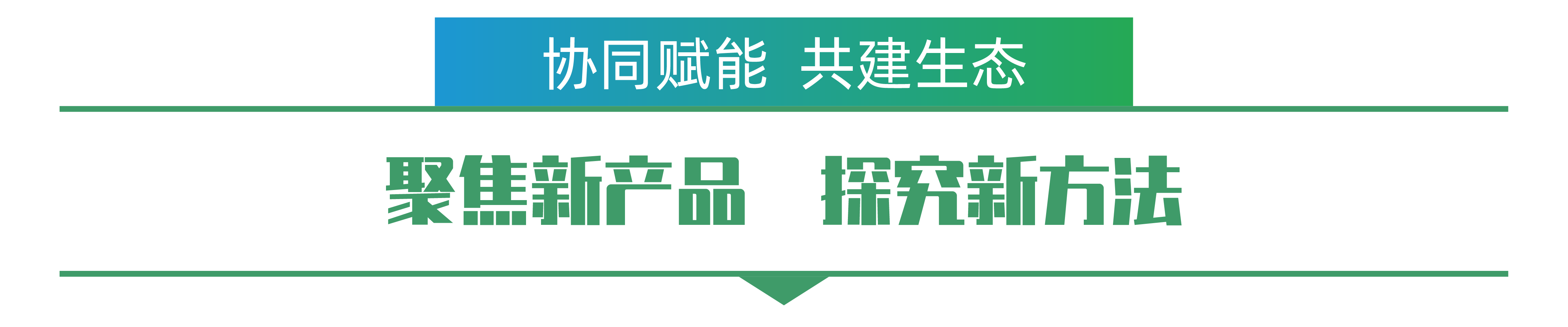 1702259381478901.png 张钦书-01.png